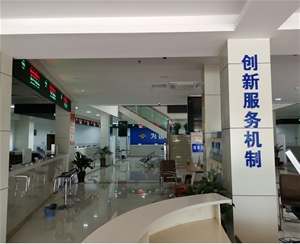  Queuing at 90 windows of Chizhou Big Data Bureau