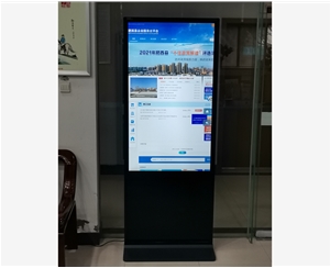  Government 55 inch vertical inquiry machine and 55 inch wall mounted advertising machine in Taohua Town, Feixi